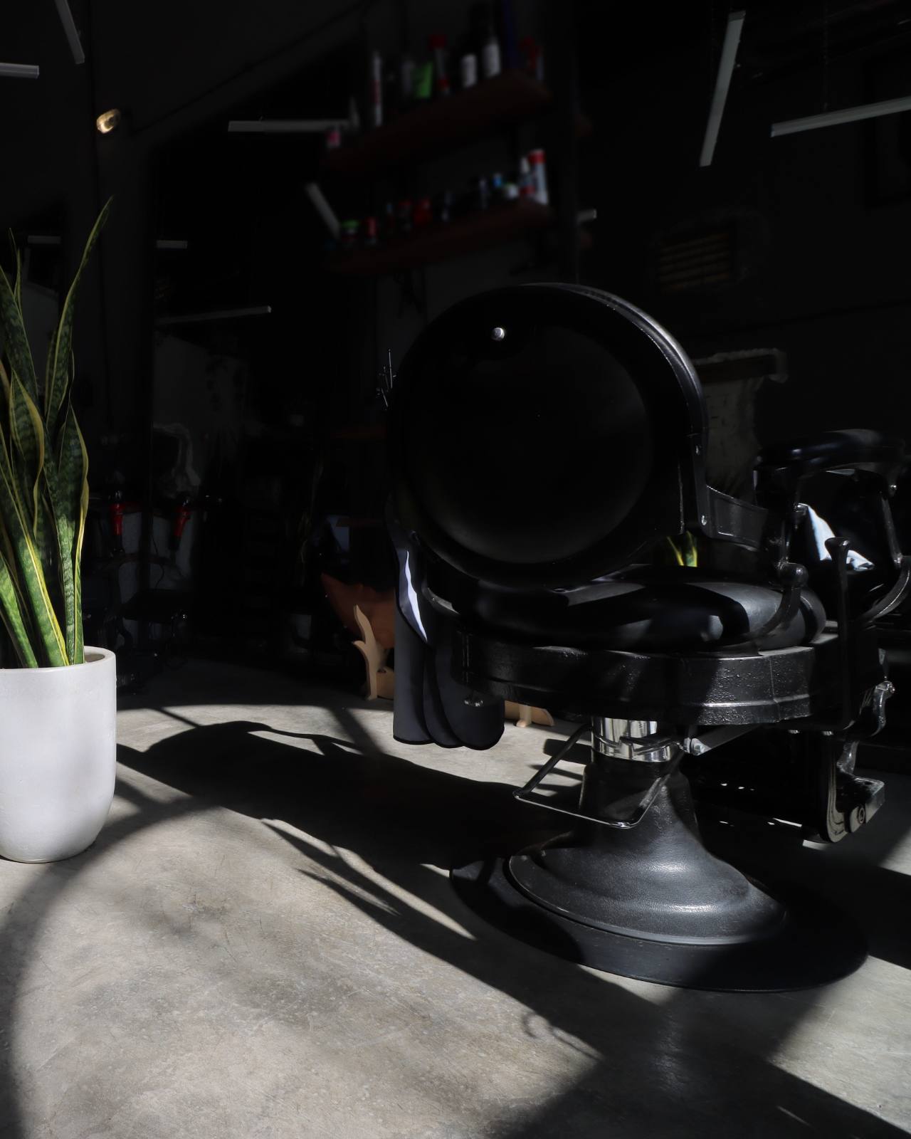 A vintage barber chair in a shaft of light on a concrete floor, a potted plant beside it
