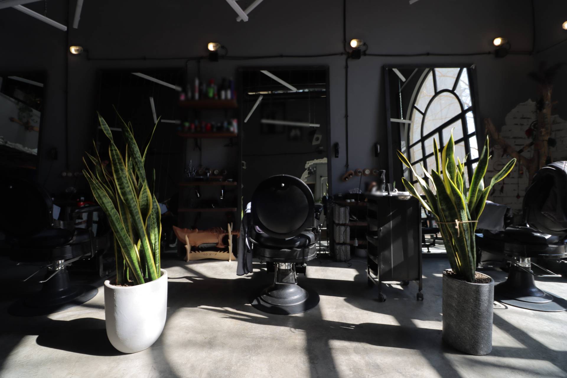 An empty barber chair between two tall potted plants, light falling across a concrete floor