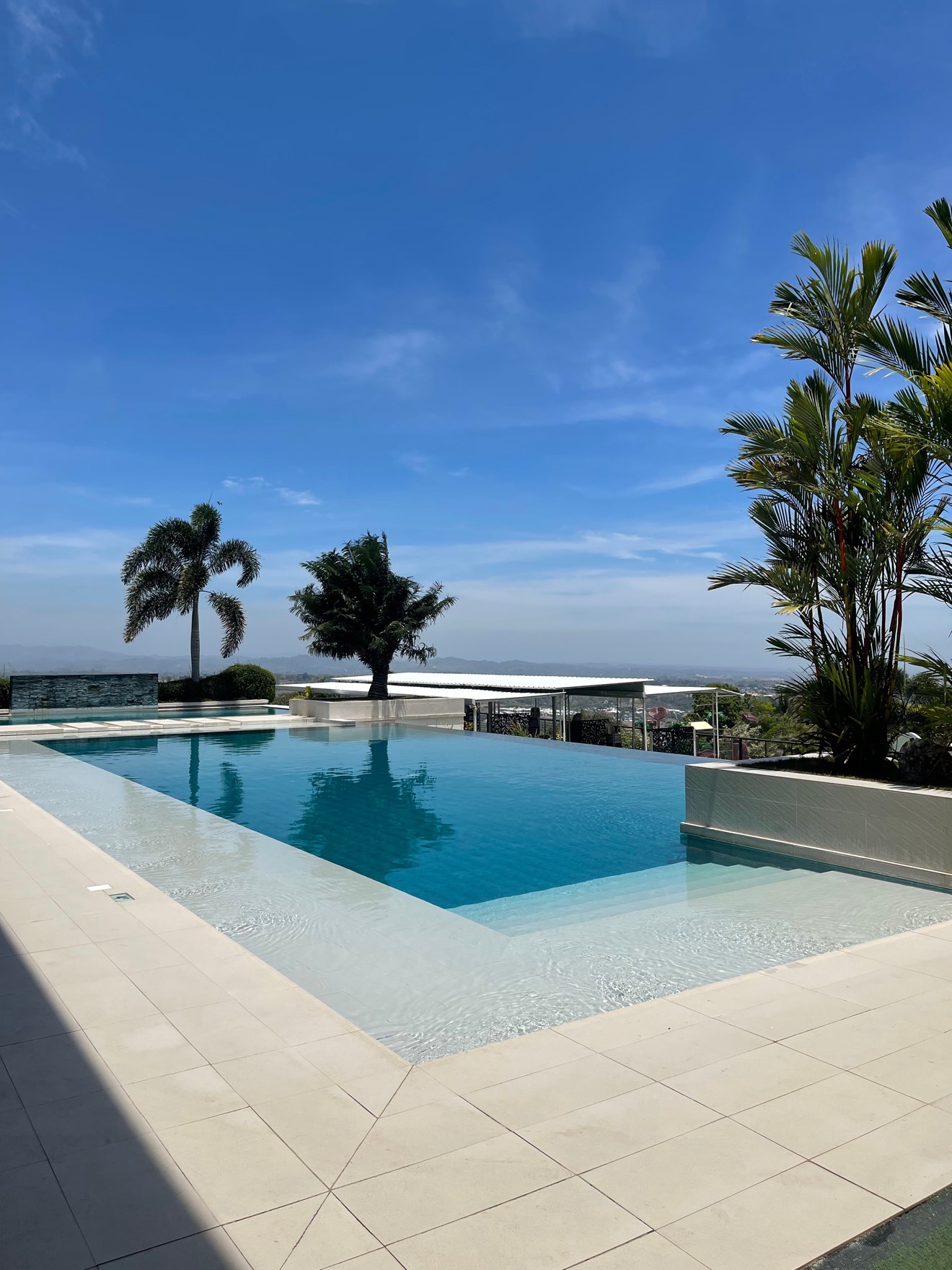 A sparkling blue backyard pool with wide steps, a pale stone deck and palm trees under a clear sky